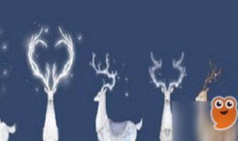 逆水寒坐骑最新爆料,华丽造型，神秘属性，带你领略江湖风采