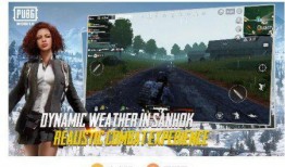 Bg体验服最新爆料,揭秘神秘功能与优化升级